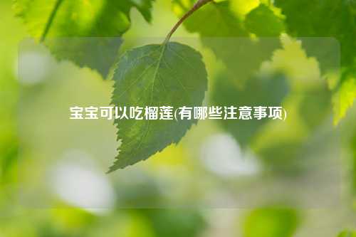 宝宝可以吃榴莲(有哪些注意事项) 种植业