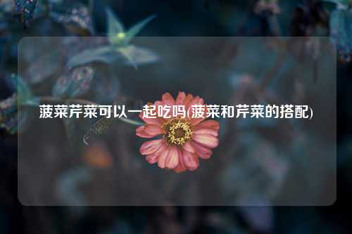 菠菜芹菜可以一起吃吗