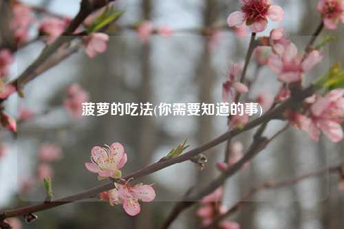 菠萝的吃法