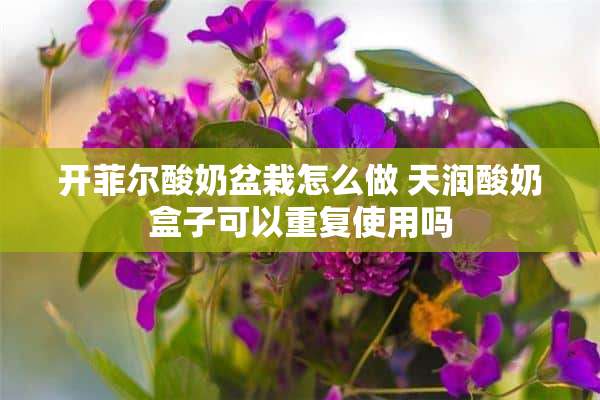 开菲尔酸奶盆栽怎么做 天润酸奶盒子可以重复使用吗