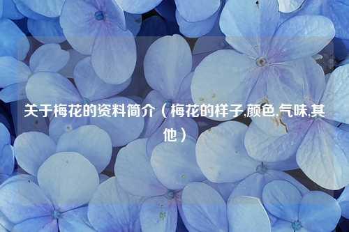 关于梅花的资料简介（梅花的样子,颜色,气味,其他） 花卉