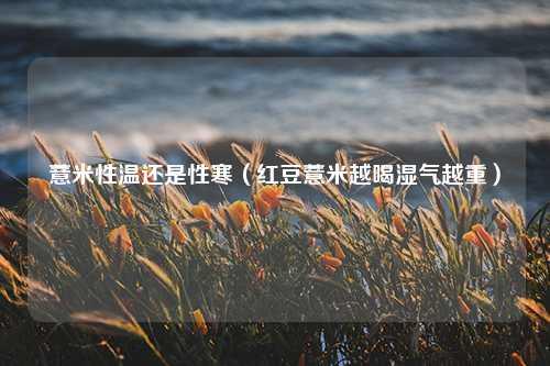 薏米性温还是性寒（红豆薏米越喝湿气越重）