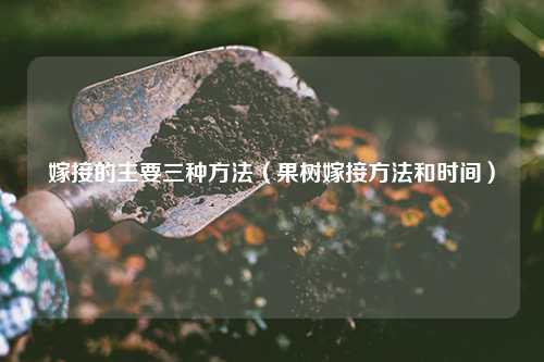 嫁接的主要三种方法（果树嫁接方法和时间） 花卉