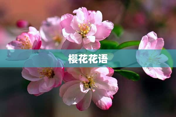 樱花花语