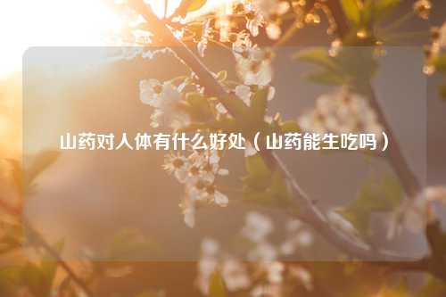 山药对人体有什么好处（山药能生吃吗） 花卉