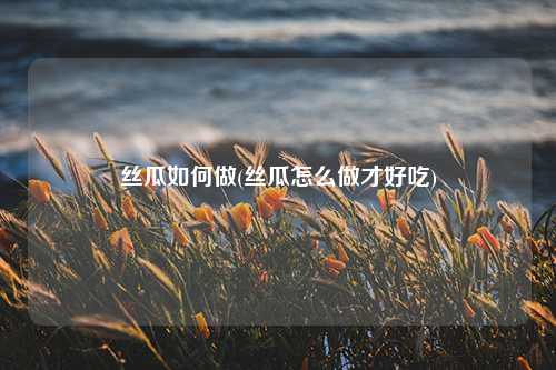 丝瓜如何做(丝瓜怎么做才好吃) 种植业