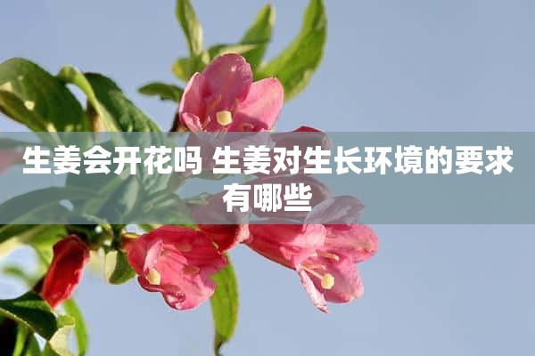 生姜会开花吗 生姜对生长环境的要求有哪些