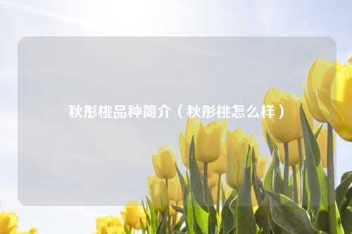 秋彤桃品种简介（秋彤桃怎么样） 花卉