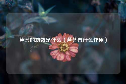 芦荟的功效是什么（芦荟有什么作用）