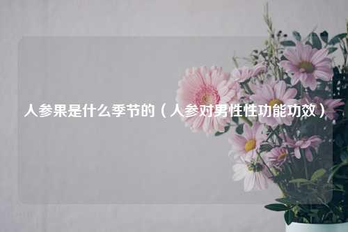 人参果是什么季节的（人参对男性性功能功效）