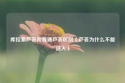 库拉索芦荟和普通芦荟区别（芦荟为什么不能送人）