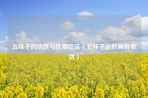 五味子的功效与作用吃法（五味子治肝病有奇效） 花卉