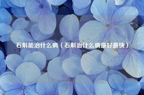 石斛能治什么病（石斛治什么病最好最快） 花卉