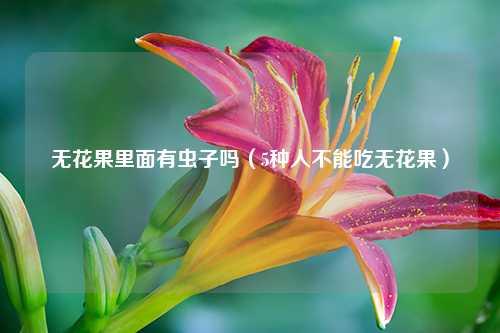 无花果里面有虫子吗（5种人不能吃无花果） 花卉