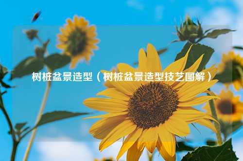 树桩盆景造型（树桩盆景造型技艺图解） 花卉