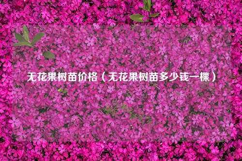 无花果树苗价格（无花果树苗多少钱一棵） 花卉