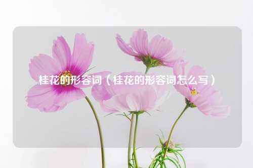 桂花的形容词（桂花的形容词怎么写）