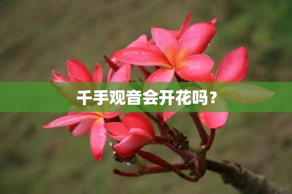 千手观音会开花吗？