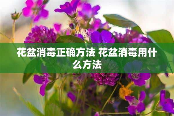 花盆消毒正确方法 花盆消毒用什么方法