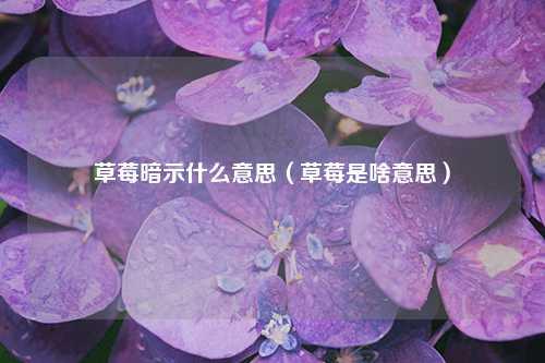 草莓暗示什么意思（草莓是啥意思）