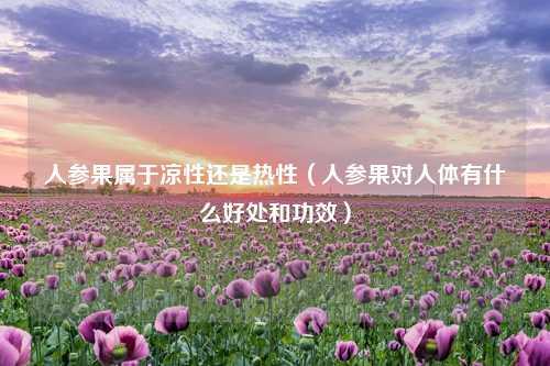 人参果属于凉性还是热性（人参果对人体有什么好处和功效） 花卉