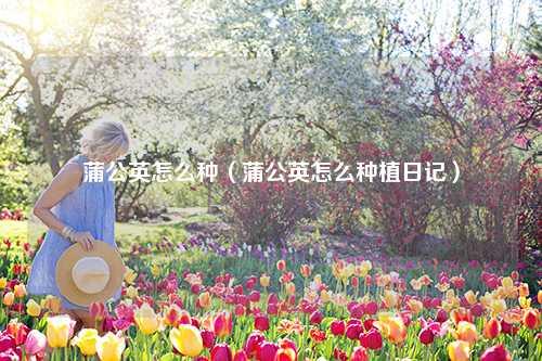 蒲公英怎么种（蒲公英怎么种植日记） 花卉