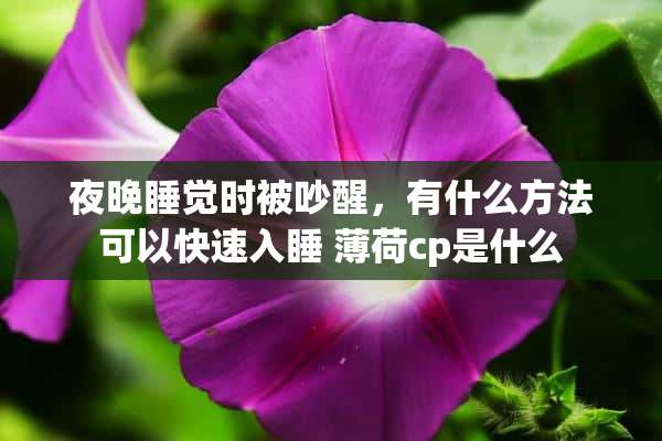 夜晚睡觉时被吵醒，有什么方法可以快速入睡 薄荷cp是什么