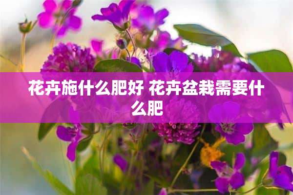 花卉施什么肥好 花卉盆栽需要什么肥