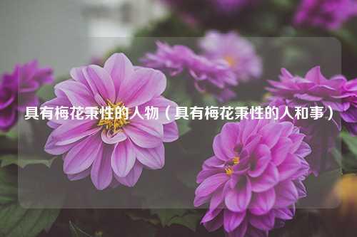 具有梅花秉性的人物（具有梅花秉性的人和事） 花卉