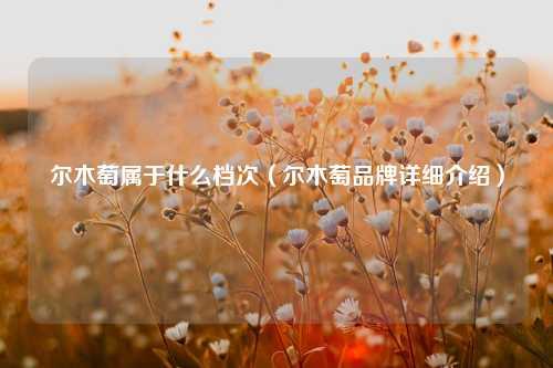 尔木萄属于什么档次（尔木萄品牌详细） 花卉