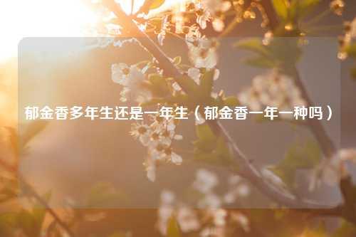 郁金香多年生还是一年生（郁金香一年一种吗） 花卉