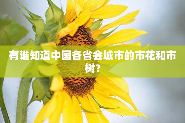 有谁知道中国各省会城市的市花和市树？