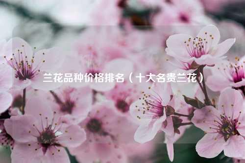 兰花品种价格排名（十大名贵兰花） 花卉