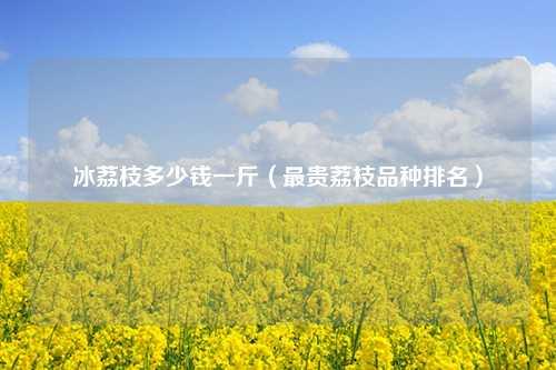 冰荔枝多少钱一斤（最贵荔枝品种排名） 花卉