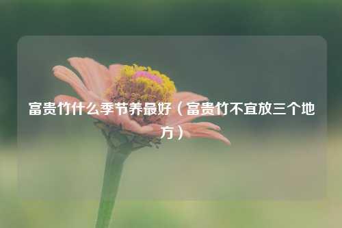 富贵竹什么季节养最好（富贵竹不宜放三个地方） 花卉