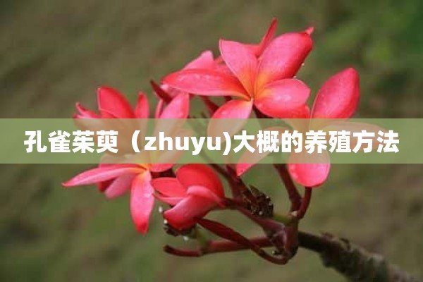 孔雀茱萸（zhuyu)大概的养殖方法