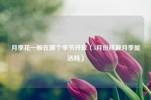 月季花一般在哪个季节开放（5月份移栽月季能活吗） 花卉