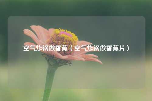 空气炸锅做香蕉（空气炸锅做香蕉片） 花卉