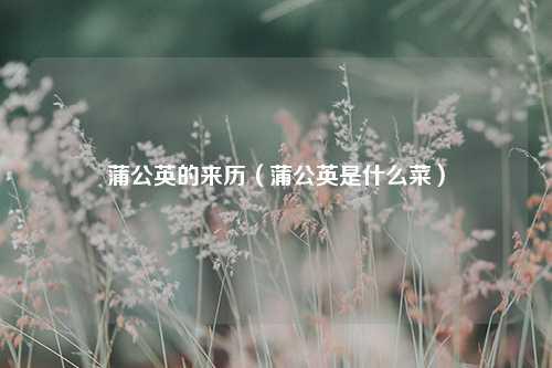 蒲公英的来历（蒲公英是什么菜） 花卉