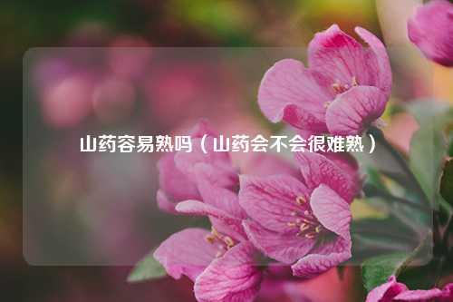 山药容易熟吗（山药会不会很难熟） 花卉