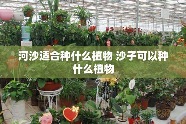 河沙适合种什么植物 沙子可以种什么植物