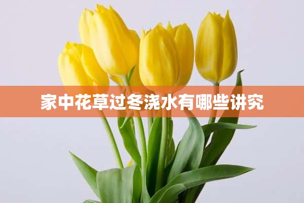 家中花草过冬浇水有哪些讲究