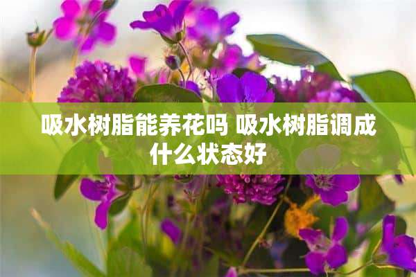 吸水树脂能养花吗 吸水树脂调成什么状态好