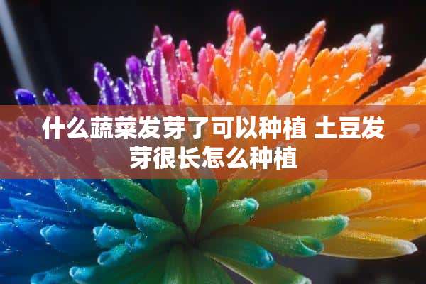 什么蔬菜发芽了可以种植 土豆发芽很长怎么种植