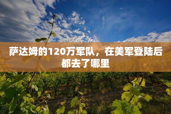 萨达姆的120万军队，在美军登陆后都去了哪里