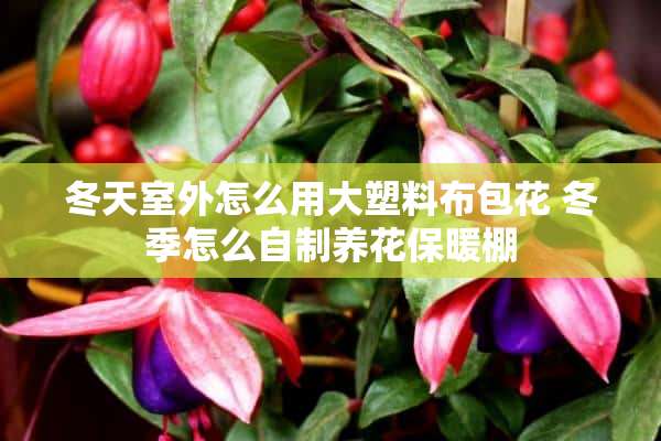 冬天室外怎么用大塑料布包花 冬季怎么自制养花保暖棚