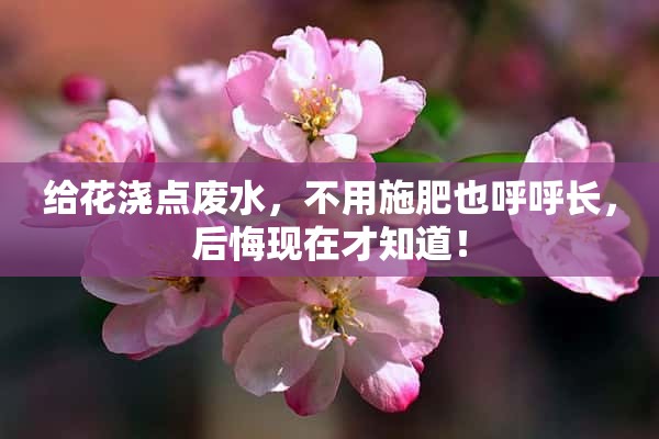 给花浇点废水，不用施肥也呼呼长，后悔现在才知道！