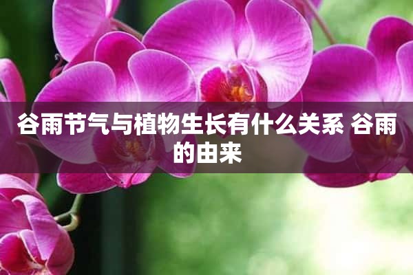 谷雨节气与植物生长有什么关系 谷雨的由来