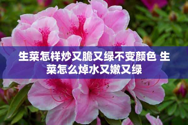 生菜怎样炒又脆又绿不变颜色 生菜怎么焯水又嫩又绿