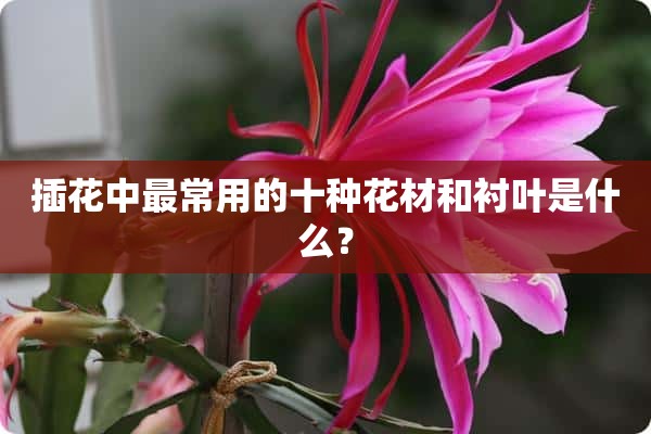 插花中最常用的十种花材和衬叶是什么？